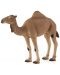 Φιγούρα Mojo Wildlife - Καμήλα - 1t