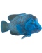 Φιγούρα   Mojo Sealife - Blue Grouper - 2t