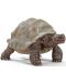 Φιγούρα Schleich Wild Life - Γιγαντιαία χελώνα - 1t