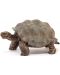 Φιγούρα Schleich Wild Life - Γιγαντιαία χελώνα - 3t
