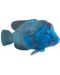 Φιγούρα   Mojo Sealife - Blue Grouper - 1t