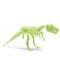 Φωσφορίζοντα αυτοκόλλητα Brainstorm Glow Dinos - Τυραννόσαυρος Ρεξ, σκελετός - 2t