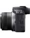Φωτογραφική μηχανή Canon - EOS R100, RF-S 18-45mm, f/4.5-6.3 IS STM, Black - 6t