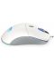 Gaming ποντίκι Endorfy - GEM Plus, οπτικό, Onyx White - 4t