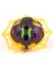 Σετ παιχνιδιού Bakugan - Special Attack Spidra - 3t