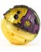 Σετ παιχνιδιού Bakugan - Special Attack Spidra - 2t