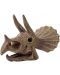 Ερευνητικό σετ Buki Museum - Skull, Triceratops - 3t
