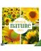 Ημερολόγιο Ackermann - Colours of Nature, 2024 - 1t