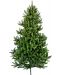 Χριστουγεννιάτικο δέντρο  Alpina - Άγριο έλατο, 150 cm, Ф 55 cm, πράσινο - 1t