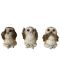 Σετ αγαλματίδια Nemesis Now Adult: Gothic - Three Wise Brown Owls, 7 cm - 1t