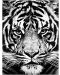 Σετ ζωγραφικής με αριθμούς  Foska - λευκή τίγρης - 1t