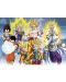 Σετ μίνι αφίσες GB eye Animation: Dragon Ball Z - Group - 3t