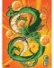 Σετ μίνι αφίσες GB eye Animation: Dragon Ball Z - Goku & Shenron - 2t
