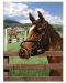 Σετ ζωγραφικής με ακρυλικά χρώματα Royal - Άλογο, 22 х 30 cm - 1t