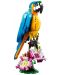 Κατασκευαστής 3 σε 1 LEGO Creator - Εξωτικός παπαγάλος (31136) - 3t