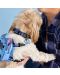 Κολλάρο σκύλου Loungefly Disney: Lilo & Stitch - Stitch - 4t