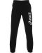 Ανδρικό αθλητικό παντελόνι Asics - Big logo Sweat pant, μαύρο  - 1t