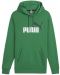 Ανδρικό φούτερ Puma - Essentials+ Two-Tone Big Logo, πράσινο - 1t