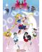 Αφίσα Maxi GB eye Animation: Sailor Moon - Moonlight Power - 1t