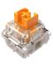 Μηχανικοί διακόπτες Razer - Orange Tactile Switch, 36 τεμάχια - 1t