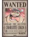  Μίνι αφίσα  GB eye Animation: One Piece - Big Mom Wanted Poster (Series 2) - 1t