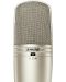 MICROPHONE, CONDENSER, MULTIPLE PATTERN - 2t