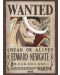  Μίνι αφίσα GB eye Animation: One Piece - Whitebeard Wanted Poster - 1t