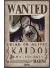 Μίνι αφίσα GB eye Animation: One Piece - Kaido Wanted Poster - 1t