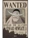 Μίνι αφίσα  GB eye Animation: One Piece - Wanted Whitebeard - 1t