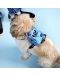  Σαμαράκι Σκύλου  Loungefly Disney: Lilo &Stitch - Stitch (Με σακίδιο πλάτης - 8t
