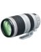 Φακός  Canon - EF 100-400mm f/4.5-5.6 L IS II USM - 3t