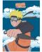 Κουβέρτα Pierrot Animation: Naruto Shippuden - Naruto Uzumaki - 1t