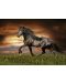 Παζλ  Educa  1000 τεμαχίων -Ένα άλογο που τροχοδρομεί - 2t