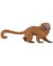 Φιγούρα Papo Wild Animal Kingdom – Χρυσό λιοντάρι ταμαρίν - 1t