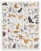 Παζλ Galison από 1000 κομμάτια - Γλυκές γάτες - 2t