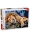 Παζλ Trefl 1000 κομμάτια - Λιοντάρι που κοιμάται   - 1t