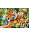 Παζλ Trefl 1500 κομμάτια - Δύο τίγρεις, Howard Robinson - 2t