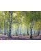 Παζλ Ravensburger από 1000 κομμάτια - Το δάσος - 2t
