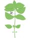 Σπόρια   Veritable - Lingot,Βασιλικός λεμόνι, μη ΓΤΟ - 4t
