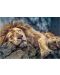 Παζλ Trefl 1000 κομμάτια - Λιοντάρι που κοιμάται   - 2t