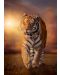 Παζλ Clementoni 1500 κομμάτια - Τίγρης  - 2t