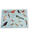 Παζλ σε σωλήνα Rex London - Birds, 300 τεμάχια - 2t