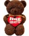 Λούτρινο αρκουδάκι  Tea Toys - Hug me, 30 cm,καφέ - 1t