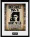 Αφίσα με κορνίζα GB eye Movies: Harry Potter - Undesirable No.1 - 1t