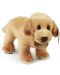 Λούτρινο παιχνίδι Rappa Eco Friends - Σκύλος Λαμπραντόρ, 20 cm - 3t