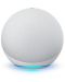 Φορητό ηχείο Amazon - Echo Dot 4, άσπρο - 5t