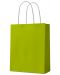 Τσάντα δώρου  S. Cool - kraft, πράσινο, Μ - 1t