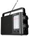 Ραδιόφωνο Sony - ICF-506, μαύρο - 3t