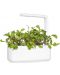 Σπόροι Click and Grow - Φύλλο ραπανάκι, 3 ανταλλακτικά - 5t