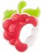 Οδοντοφυΐα σιλικόνης Canpol - Raspberry - 1t